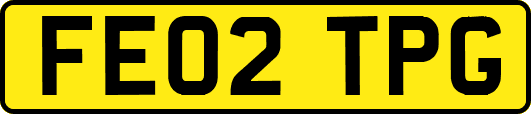 FE02TPG