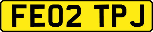 FE02TPJ