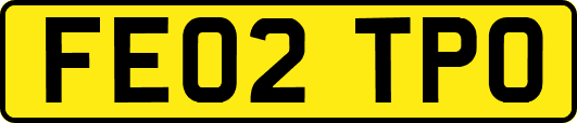 FE02TPO