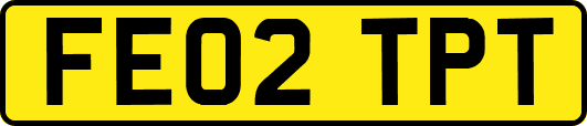 FE02TPT