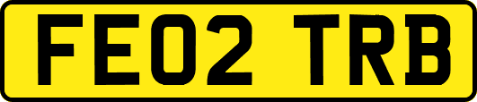 FE02TRB