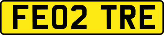 FE02TRE
