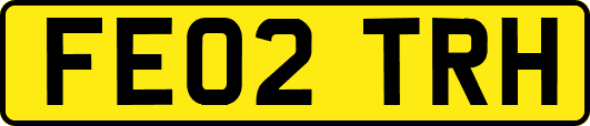 FE02TRH
