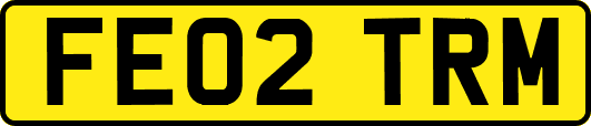 FE02TRM