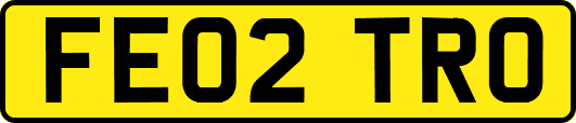 FE02TRO