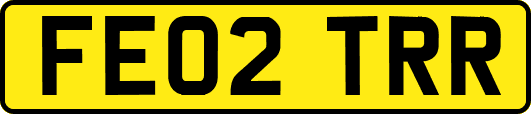 FE02TRR