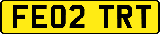 FE02TRT