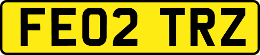 FE02TRZ
