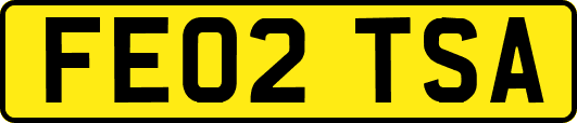 FE02TSA