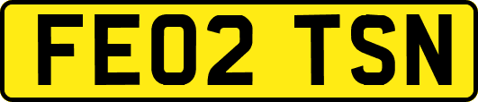 FE02TSN