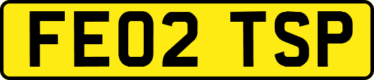 FE02TSP