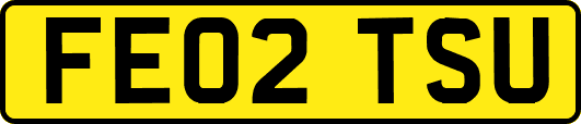 FE02TSU