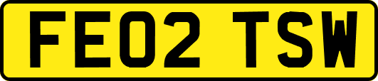 FE02TSW