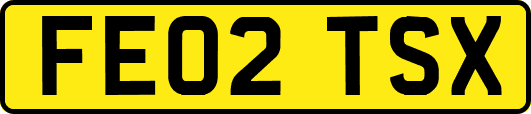 FE02TSX