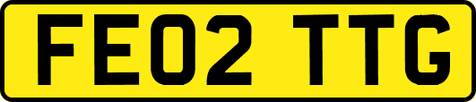 FE02TTG