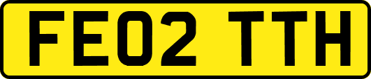 FE02TTH
