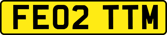 FE02TTM