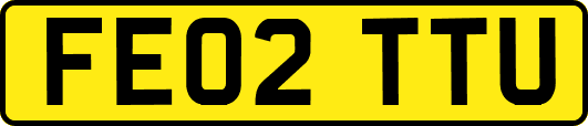 FE02TTU