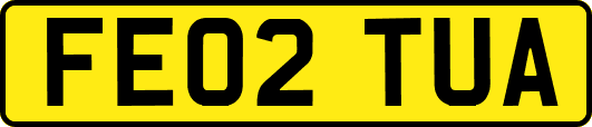 FE02TUA