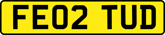 FE02TUD