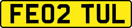FE02TUL