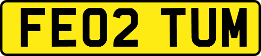 FE02TUM