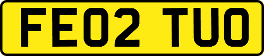 FE02TUO
