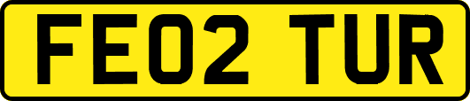 FE02TUR