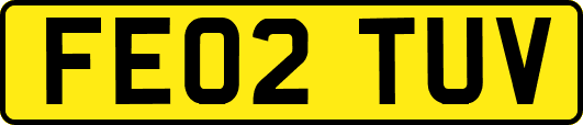FE02TUV