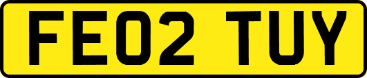 FE02TUY