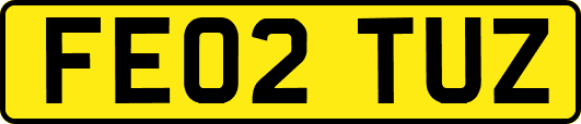 FE02TUZ