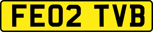 FE02TVB