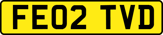 FE02TVD