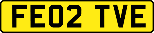 FE02TVE