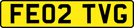 FE02TVG