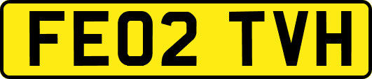 FE02TVH