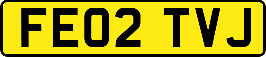 FE02TVJ
