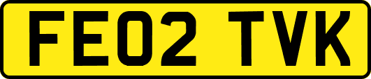 FE02TVK