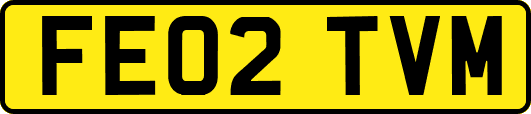 FE02TVM