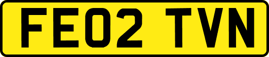 FE02TVN