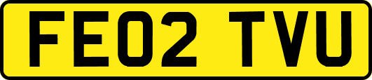 FE02TVU