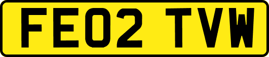 FE02TVW