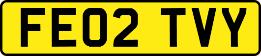 FE02TVY