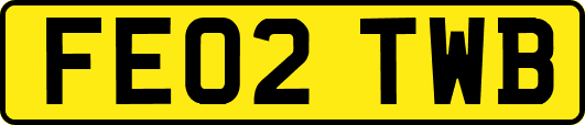 FE02TWB