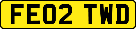 FE02TWD