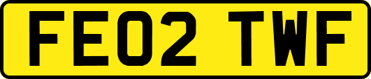 FE02TWF
