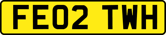 FE02TWH