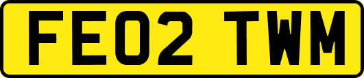 FE02TWM