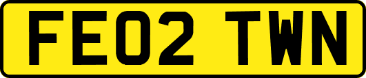 FE02TWN