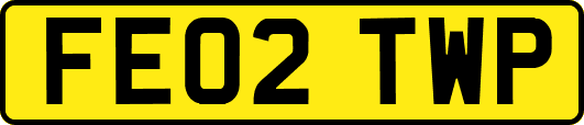 FE02TWP